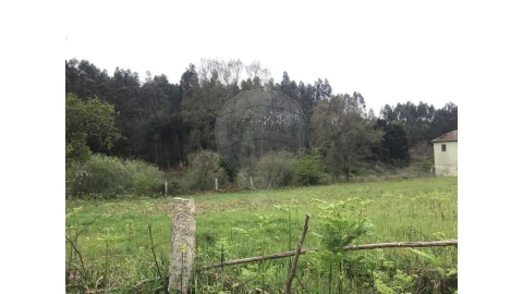 Terreno para Venda em Canedo, Vale e Vila Maior