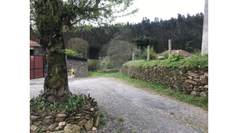 Terreno para Venda em Canedo, Vale e Vila Maior