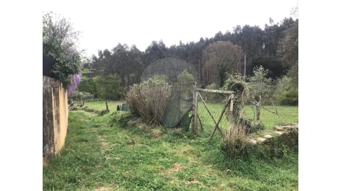 Terreno para Venda em Canedo, Vale e Vila Maior