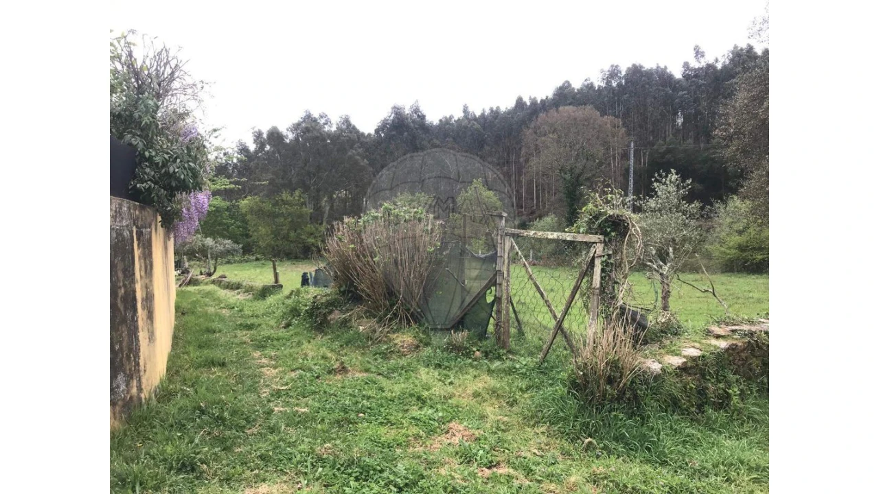 Terreno para Venda em Canedo, Vale e Vila Maior Foto 7