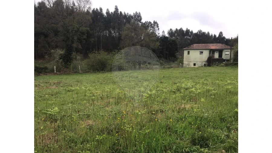 Terreno para Venda em Canedo, Vale e Vila Maior Foto 10