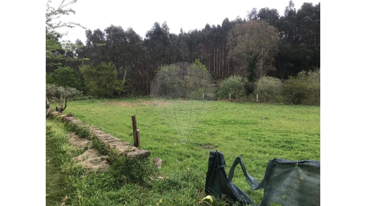 Terreno para Venda em Canedo, Vale e Vila Maior Foto 6