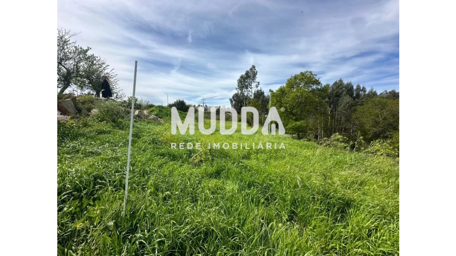 Terreno para Venda em Cambra e Carvalhal de Vermilhas Foto 3