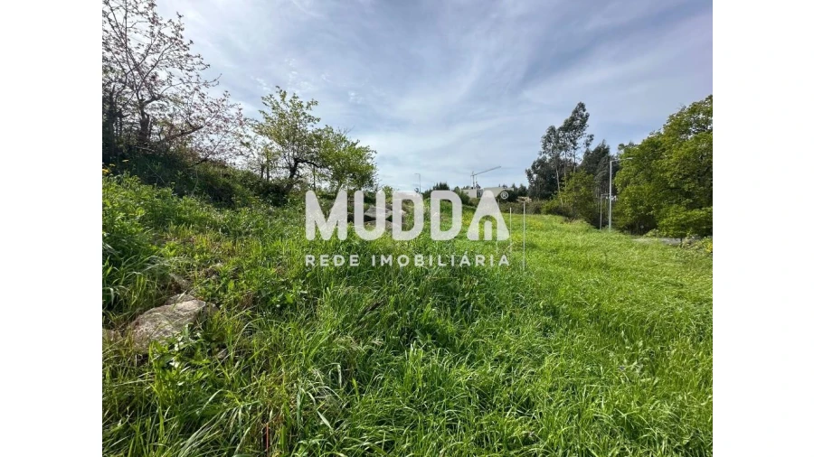 Terreno para Venda em Cambra e Carvalhal de Vermilhas