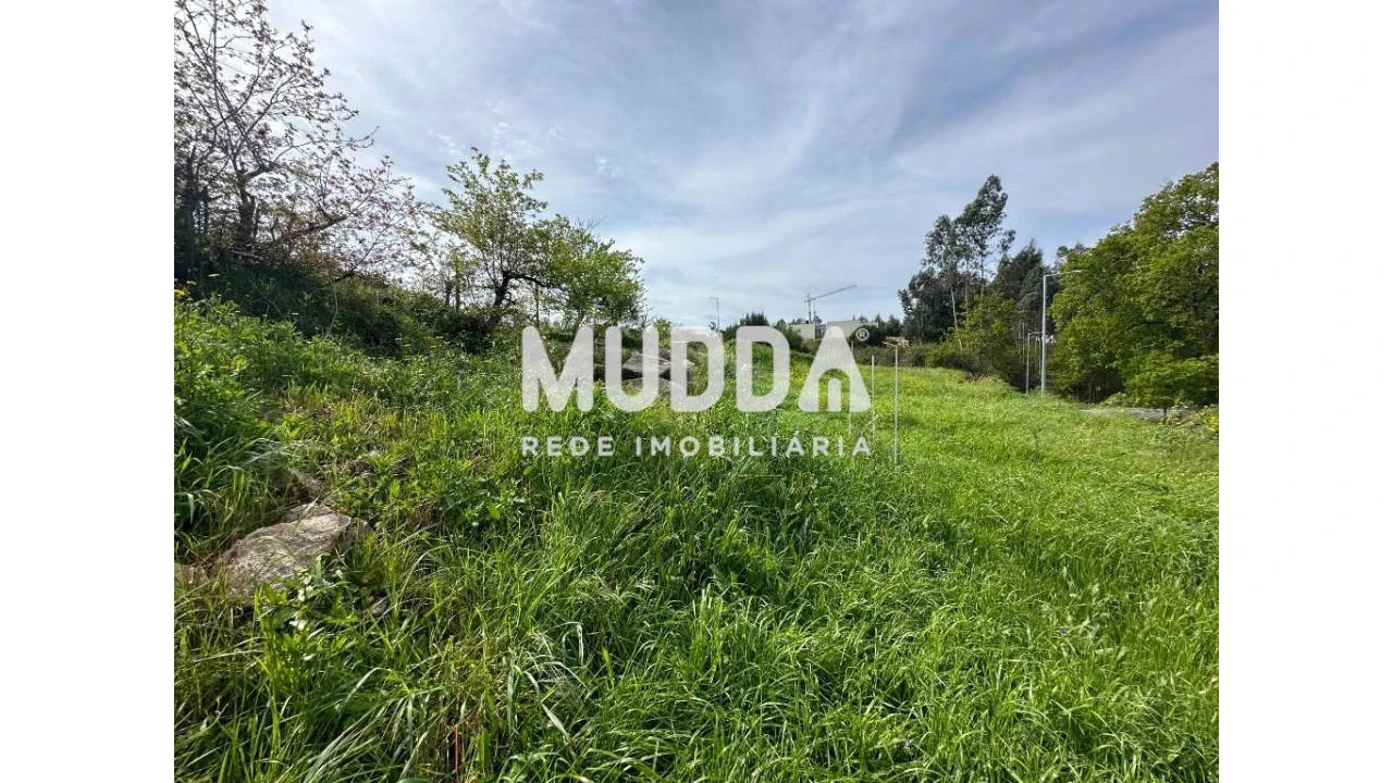 Terreno para Venda em Cambra e Carvalhal de Vermilhas Foto 1