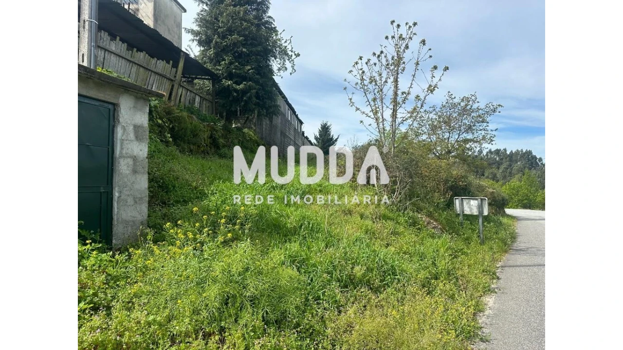 Terreno para Venda em Cambra e Carvalhal de Vermilhas Foto 4