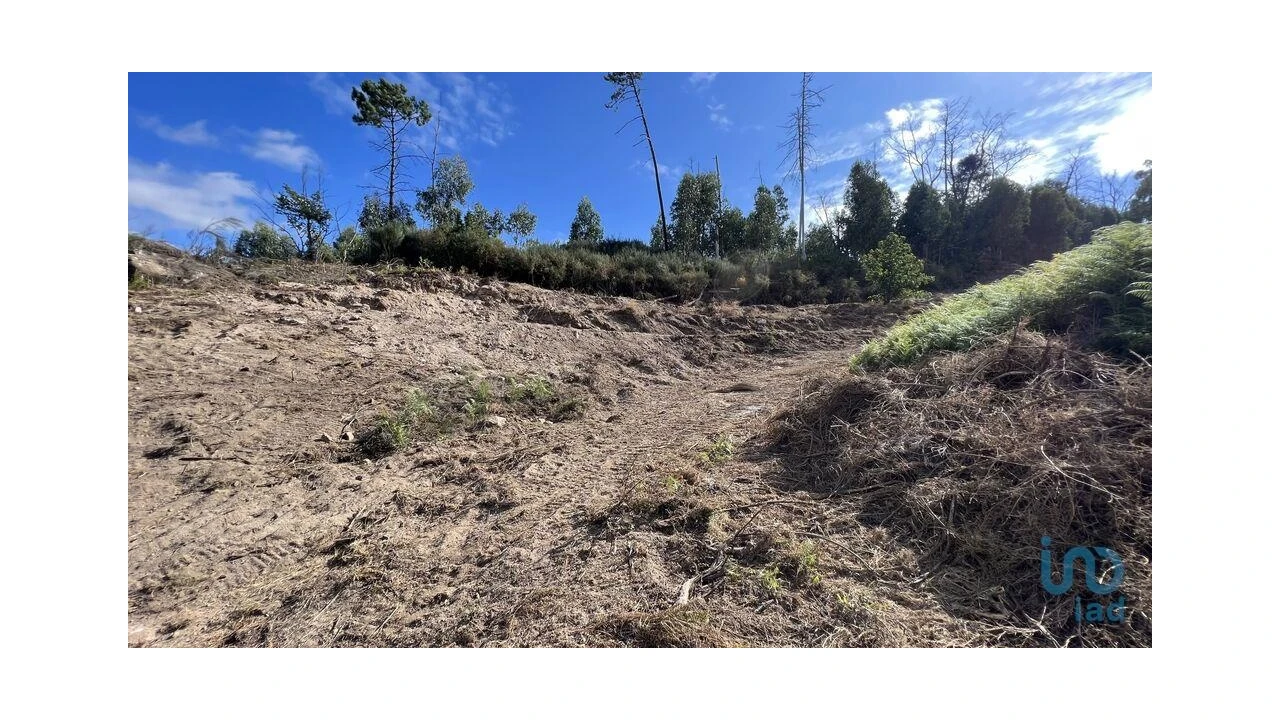 Terreno para Venda em Travanca Foto 4