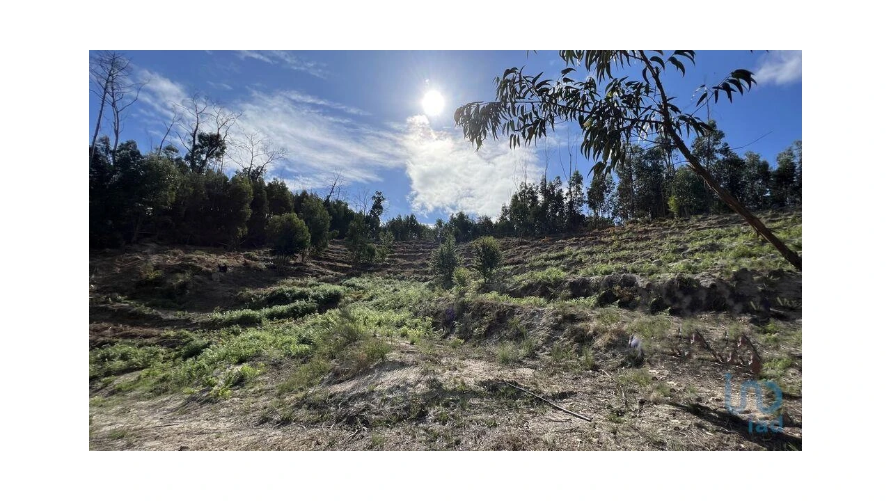 Terreno para Venda em Travanca Foto 6