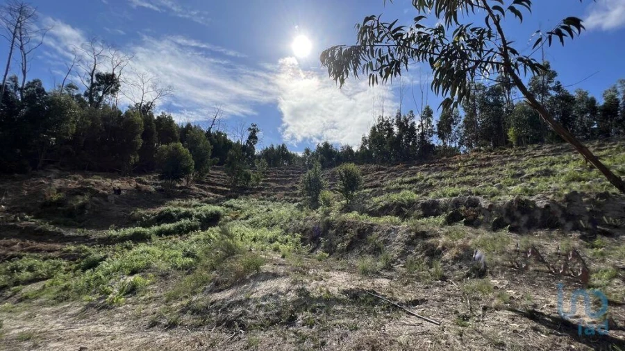 Terreno para Venda em Travanca Foto 6