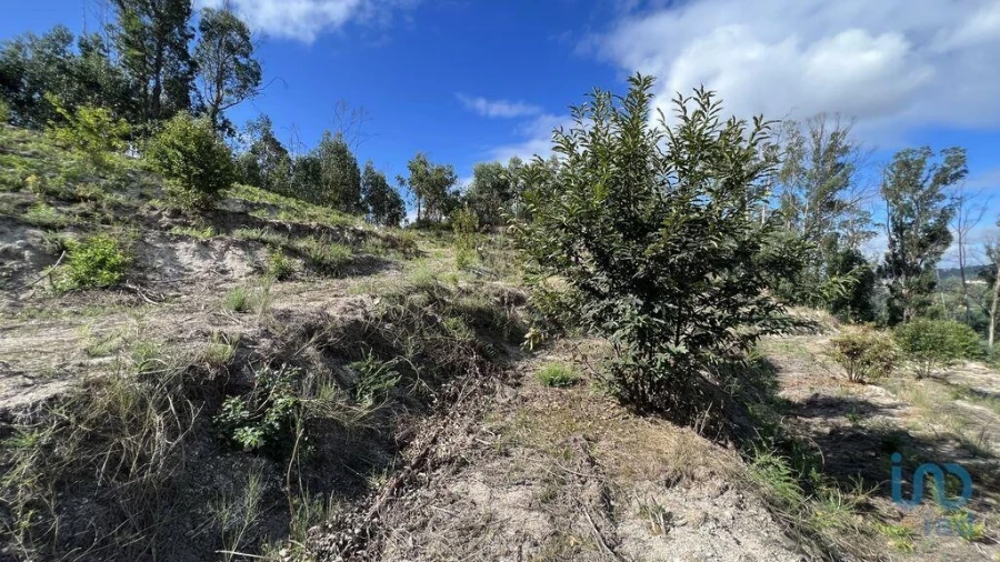 Terreno para Venda em Travanca Foto 7