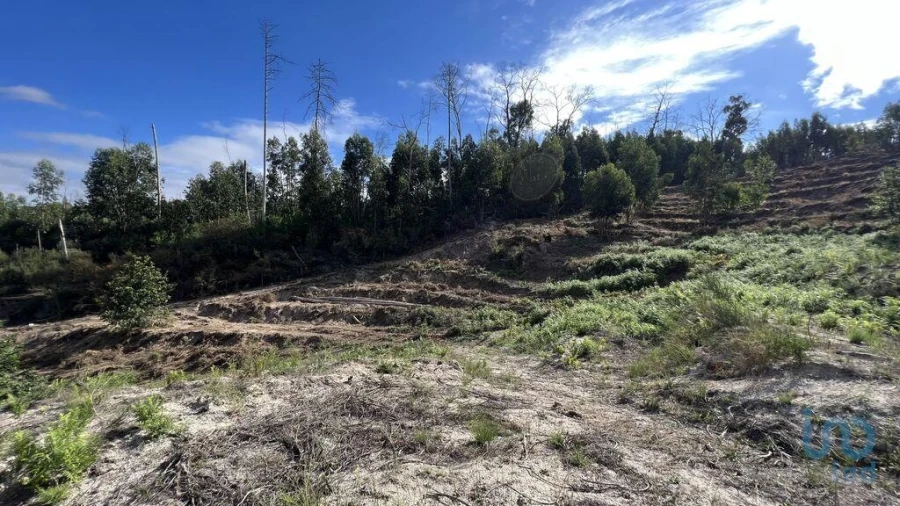 Terreno para Venda em Travanca Foto 5