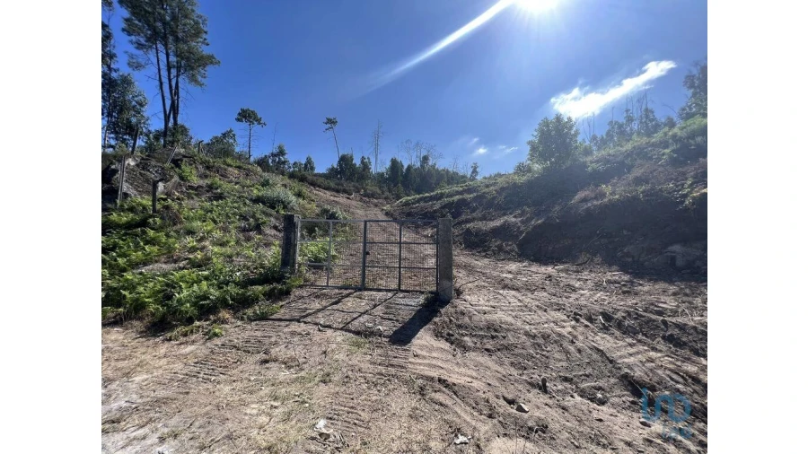 Terreno para Venda em Travanca Foto 3