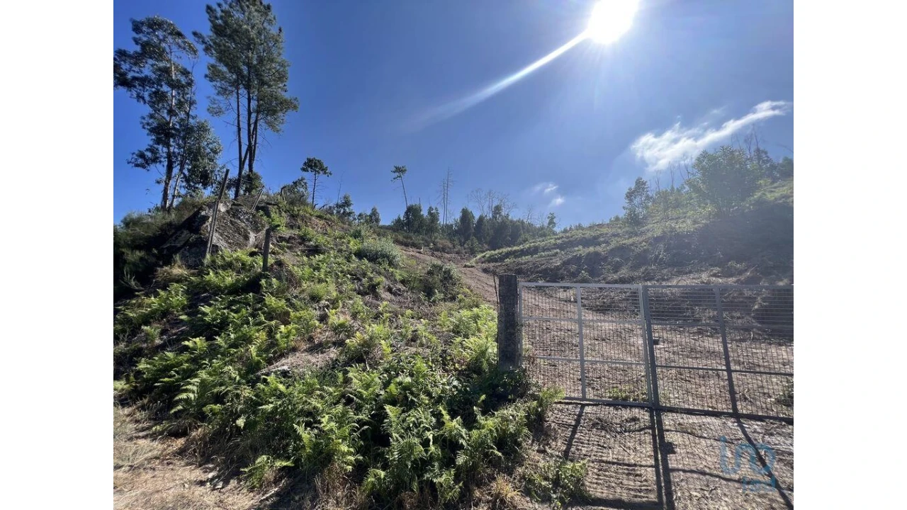 Terreno para Venda em Travanca Foto 1