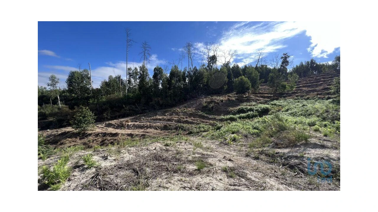 Terreno para Venda em Travanca Foto 5