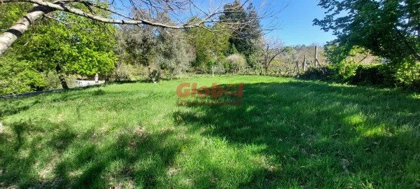 Terreno para Venda em Bodiosa
