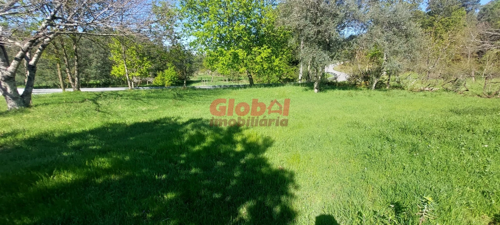 Terreno para Venda em Bodiosa Foto 3