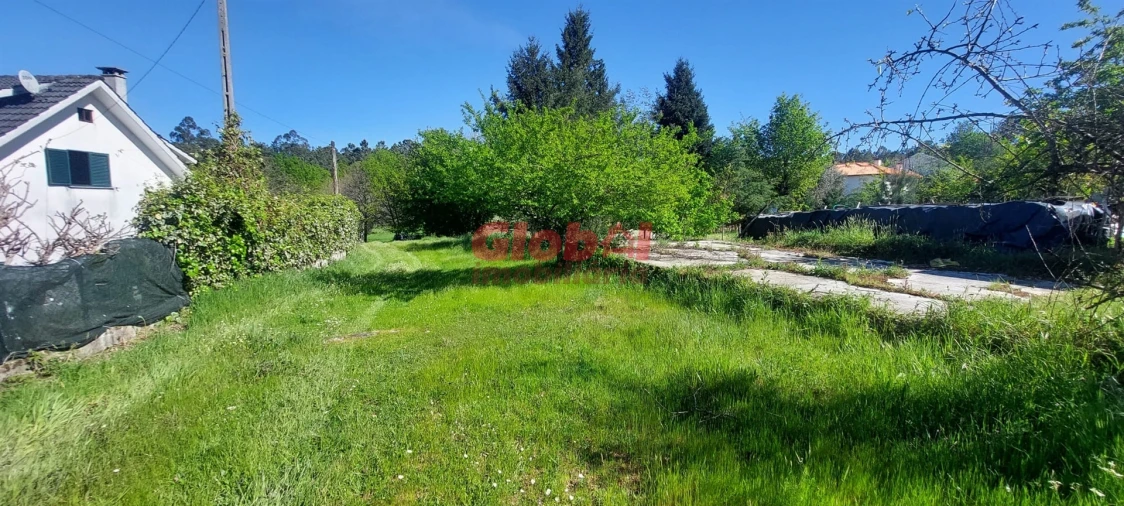 Terreno para Venda em Bodiosa Foto 2