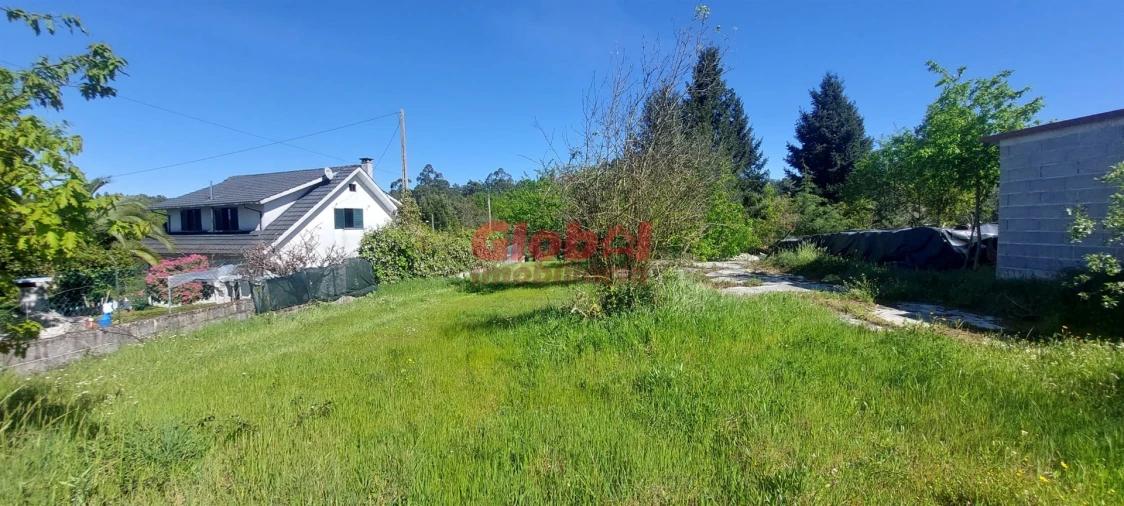 Terreno para Venda em Bodiosa Foto 4