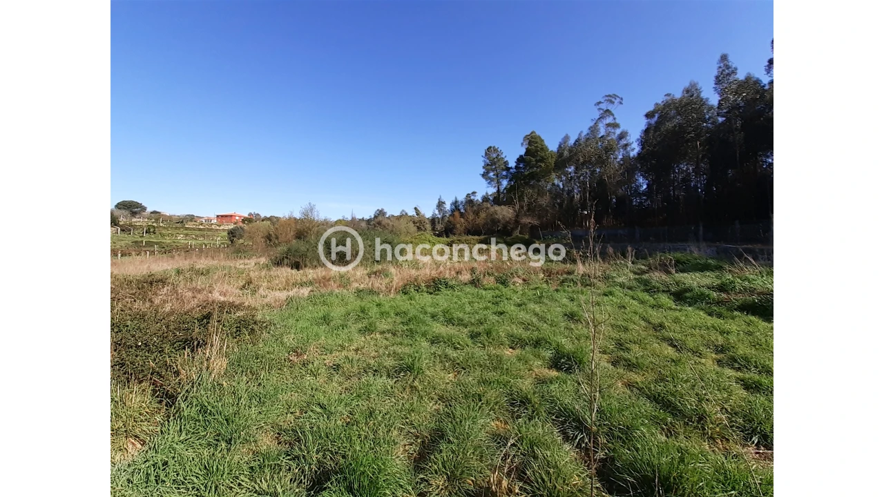 Terreno Agricola ou Rústico para Venda em Alvito (São Pedro e São Martinho) e Couto Foto 2