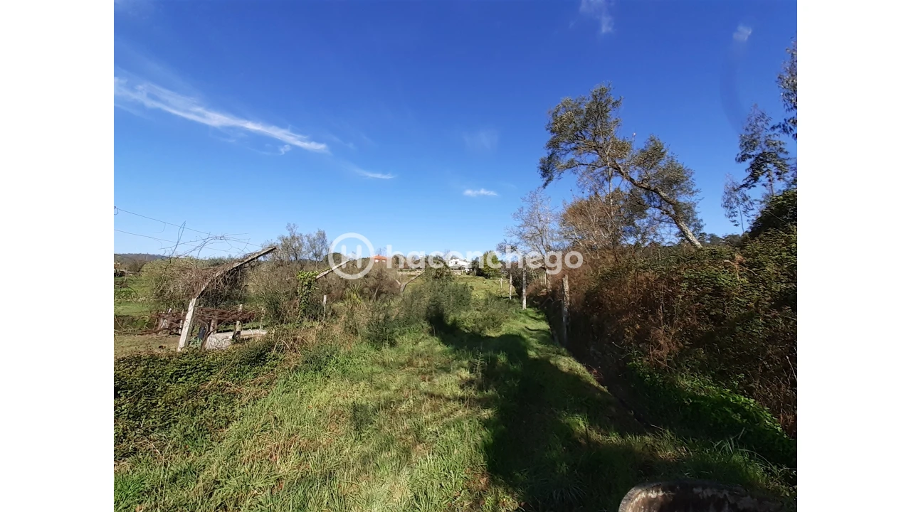 Terreno Agricola ou Rústico para Venda em Alvito (São Pedro e São Martinho) e Couto Foto 7