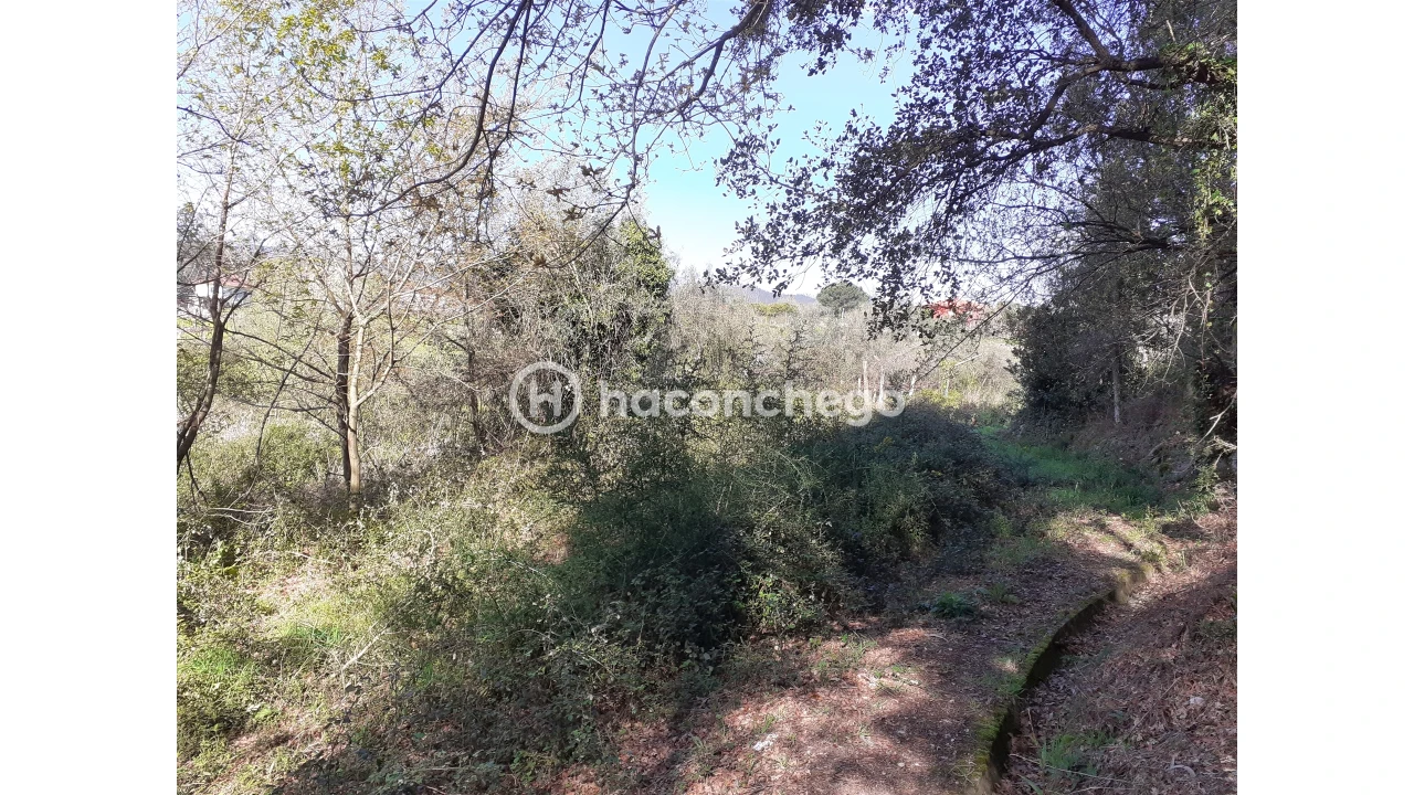 Terreno Agricola ou Rústico para Venda em Alvito (São Pedro e São Martinho) e Couto Foto 4