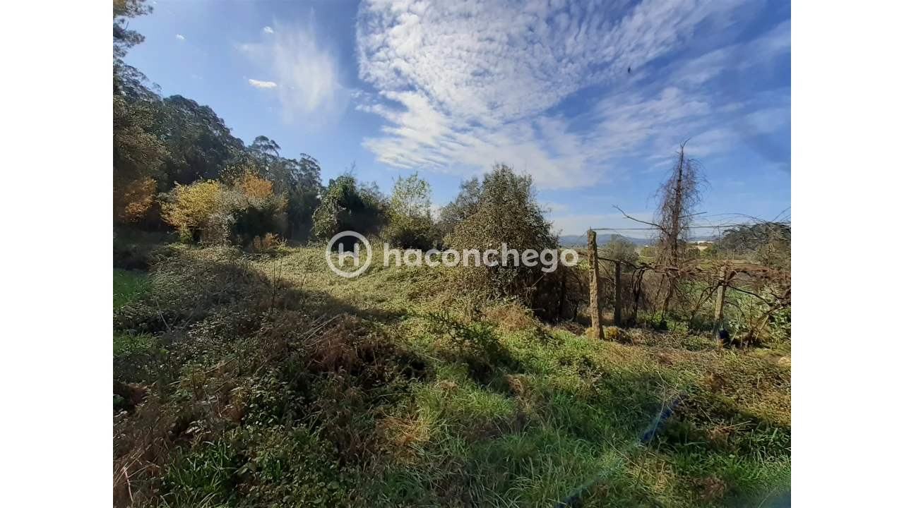 Terreno Agricola ou Rústico para Venda em Alvito (São Pedro e São Martinho) e Couto Foto 8