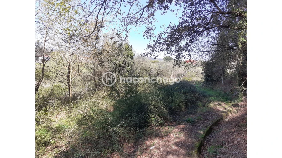 Terreno Agricola ou Rústico para Venda em Alvito (São Pedro e São Martinho) e Couto Foto 3