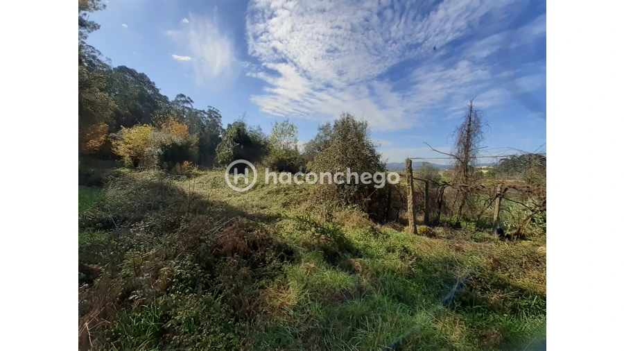 Terreno Agricola ou Rústico para Venda em Alvito (São Pedro e São Martinho) e Couto Foto 7