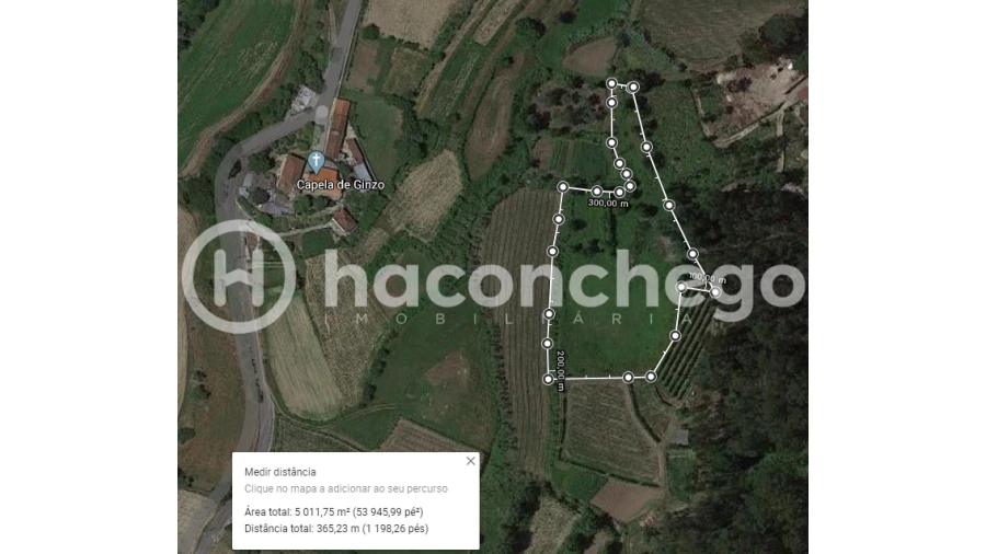 Terreno Agricola ou Rústico para Venda em Alvito (São Pedro e São Martinho) e Couto Foto 10