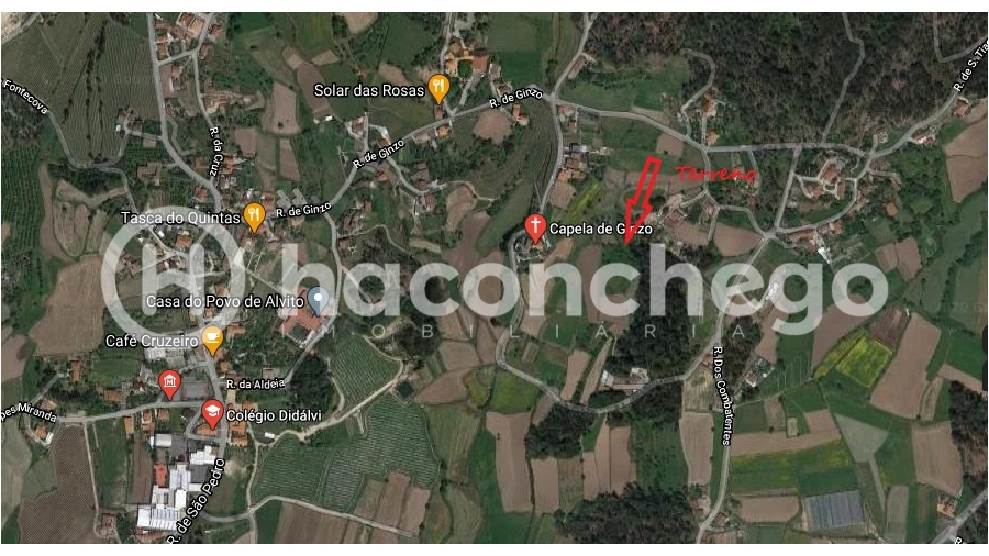 Terreno Agricola ou Rústico para Venda em Alvito (São Pedro e São Martinho) e Couto Foto 9