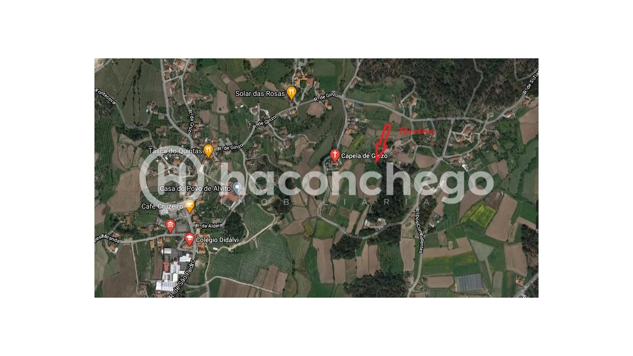 Terreno Agricola ou Rústico para Venda em Alvito (São Pedro e São Martinho) e Couto Foto 10