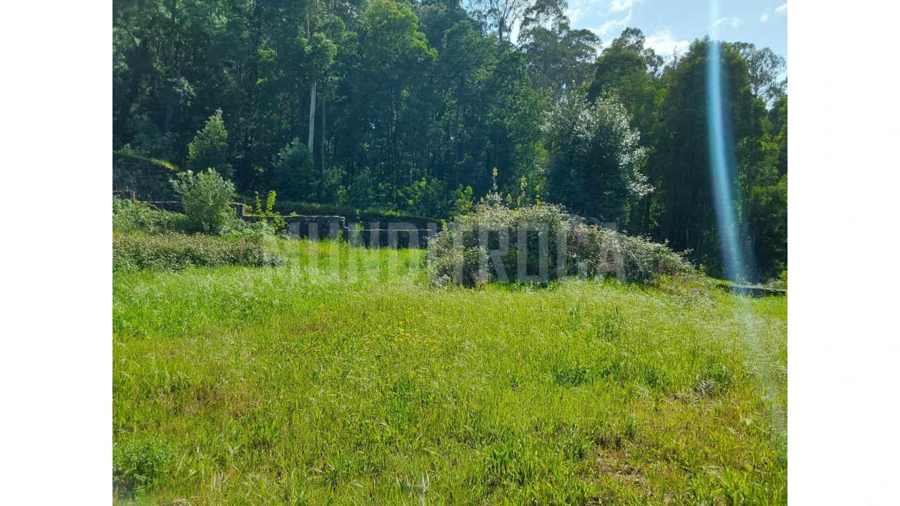 Terreno para Venda em Geraz do Lima (Santa Maria, Santa Leocádia, Moreira), Deão Foto 7