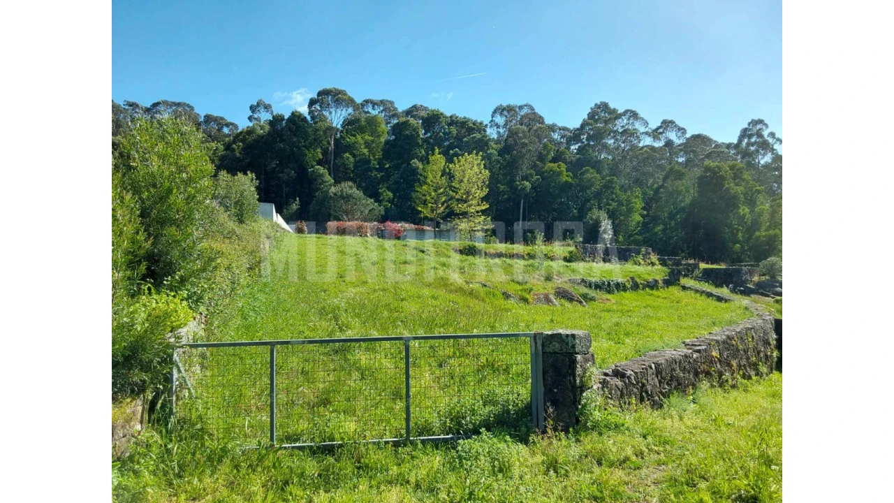 Terreno para Venda em Geraz do Lima (Santa Maria, Santa Leocádia, Moreira), Deão Foto 2