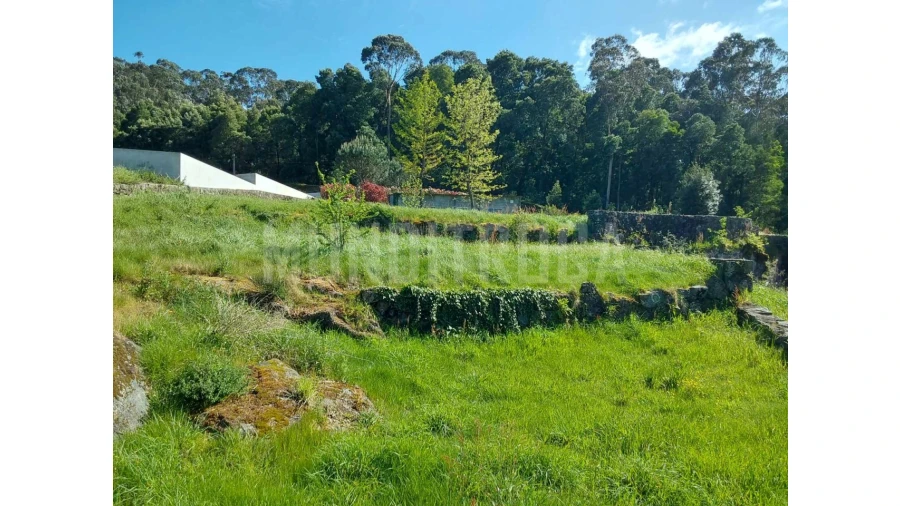 Terreno para Venda em Geraz do Lima (Santa Maria, Santa Leocádia, Moreira), Deão Foto 13