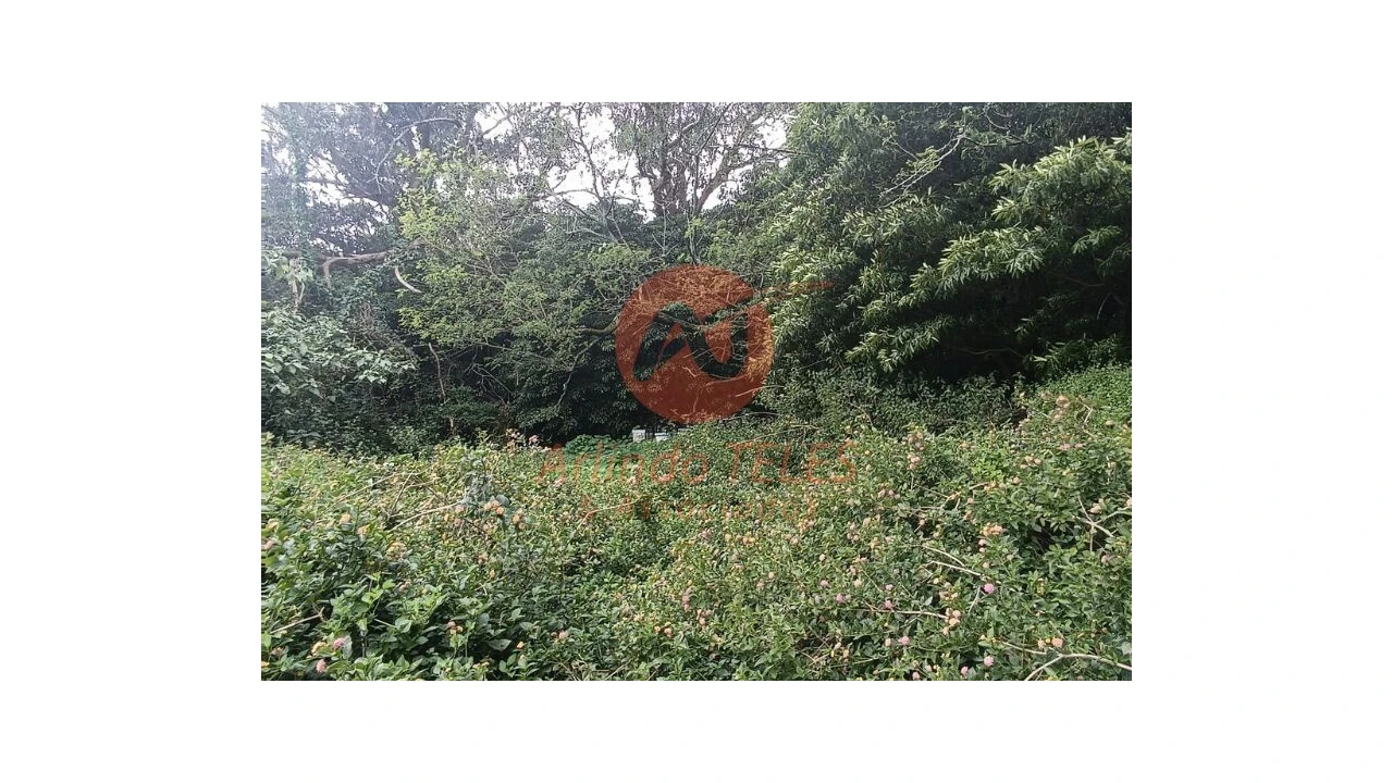 Terreno para Venda em Lajes Foto 25