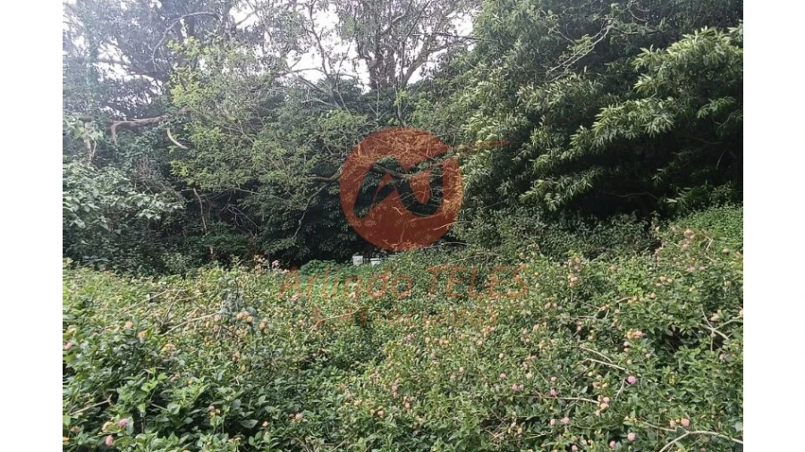 Terreno para Venda em Lajes Foto 25