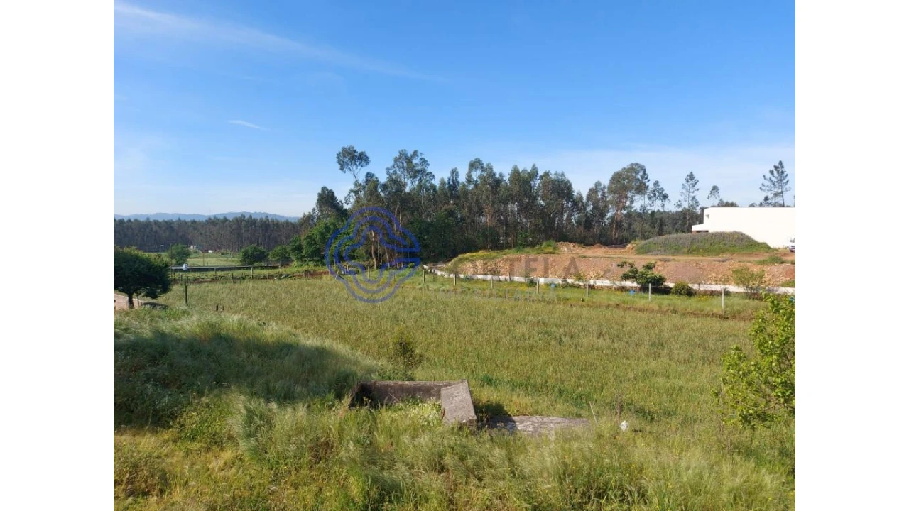Terreno para Venda em Ribeirão Foto 7