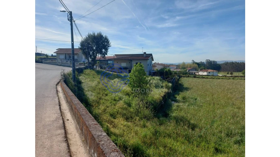 Terreno para Venda em Ribeirão Foto 8
