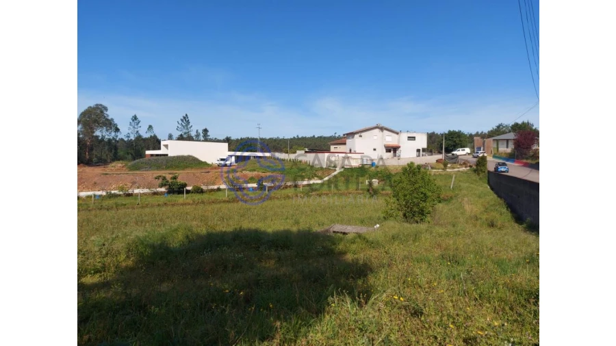 Terreno para Venda em Ribeirão Foto 3
