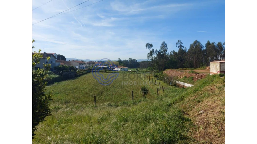Terreno para Venda em Ribeirão Foto 9