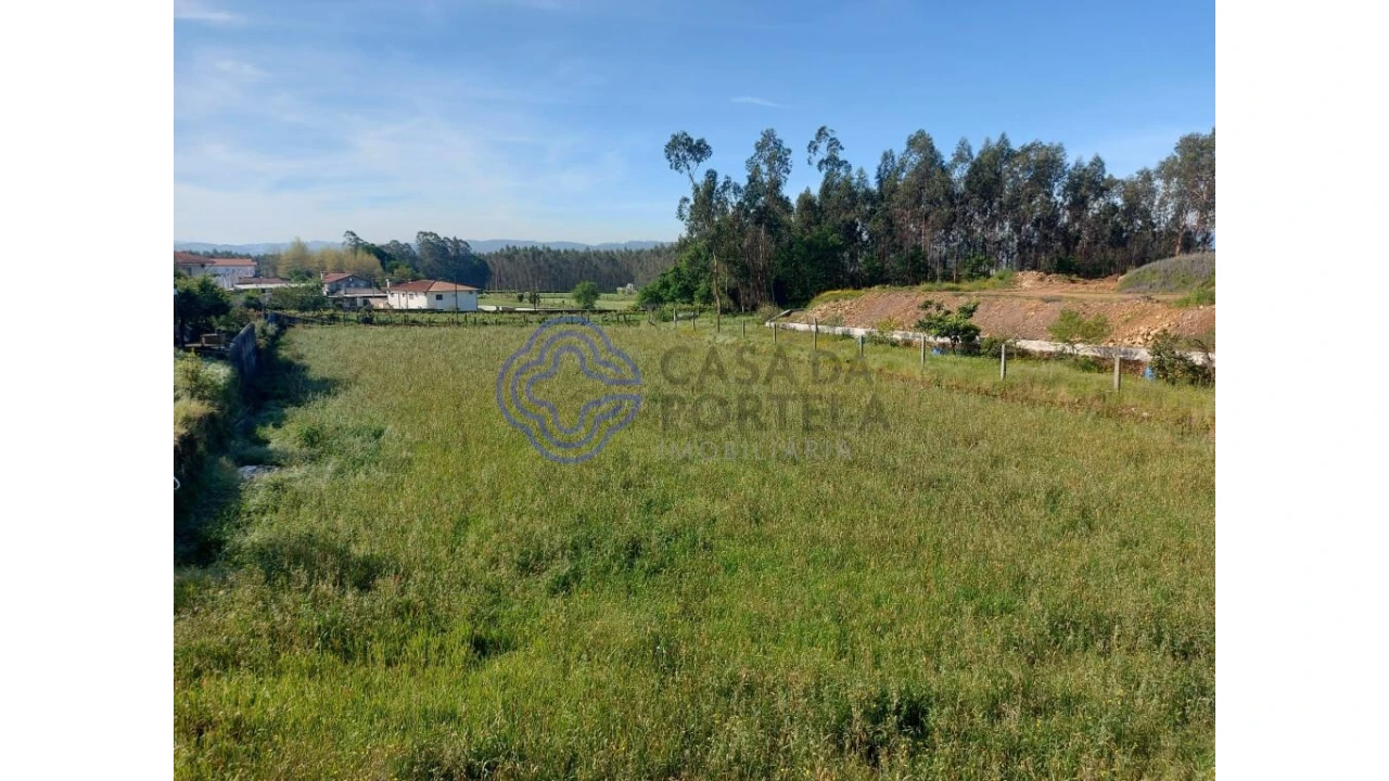 Terreno para Venda em Ribeirão Foto 10