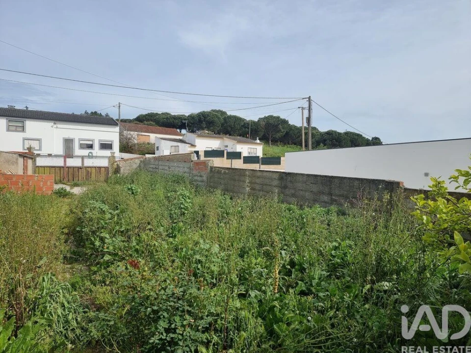 Terreno para Venda em Bombarral e Vale Covo Foto 9