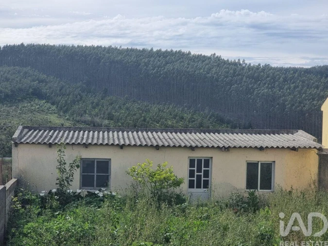 Terreno para Venda em Bombarral e Vale Covo Foto 12