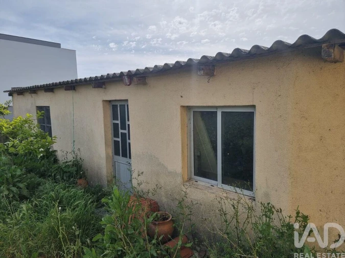 Terreno para Venda em Bombarral e Vale Covo Foto 10