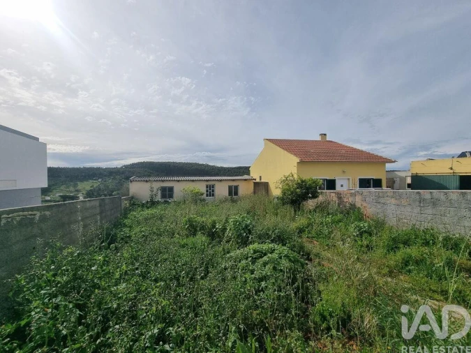 Terreno para Venda em Bombarral e Vale Covo Foto 4