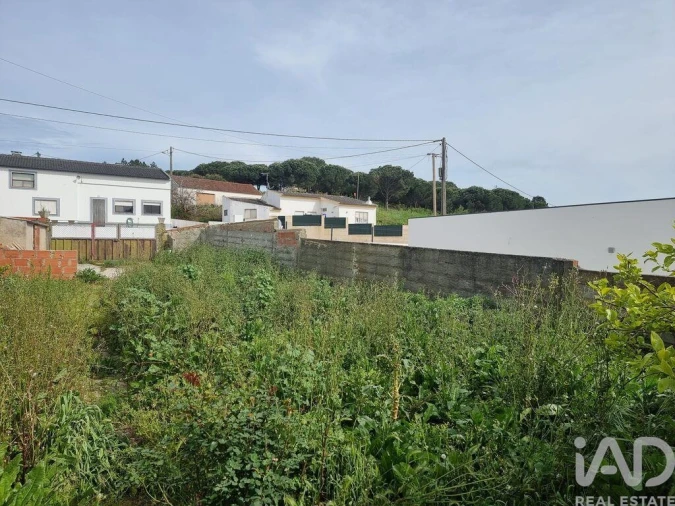 Terreno para Venda em Bombarral e Vale Covo Foto 9
