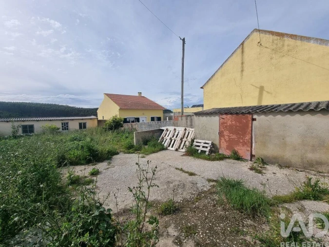 Terreno para Venda em Bombarral e Vale Covo Foto 7