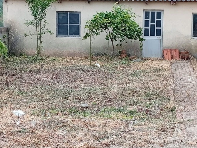 Terreno para Venda em Bombarral e Vale Covo Foto 3