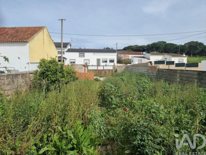 Terreno para Venda em Bombarral e Vale Covo Foto 11