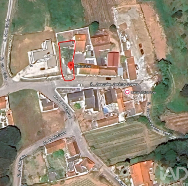 Terreno para Venda em Bombarral e Vale Covo Foto 14